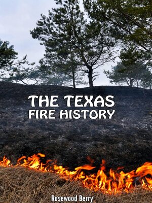 cover image of THAT TEXAS FIRE HISTORY
